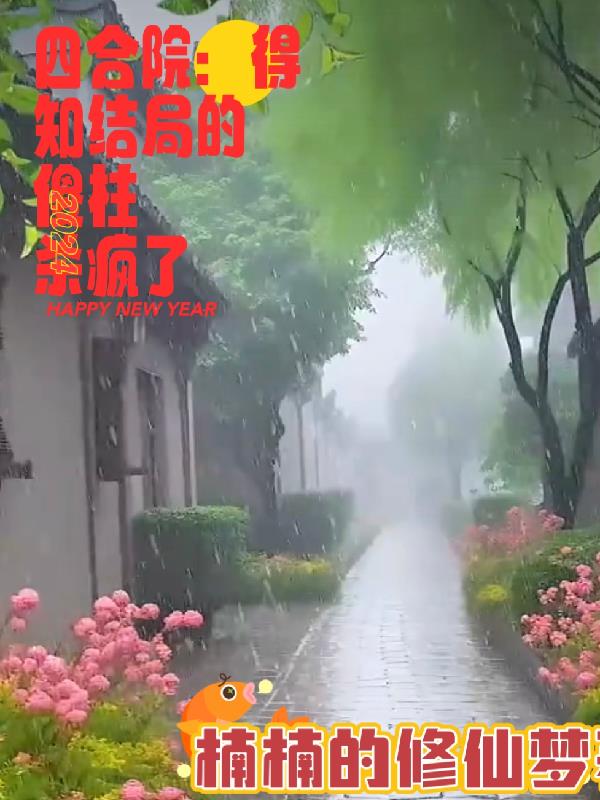 四合院 傻柱的别样人生